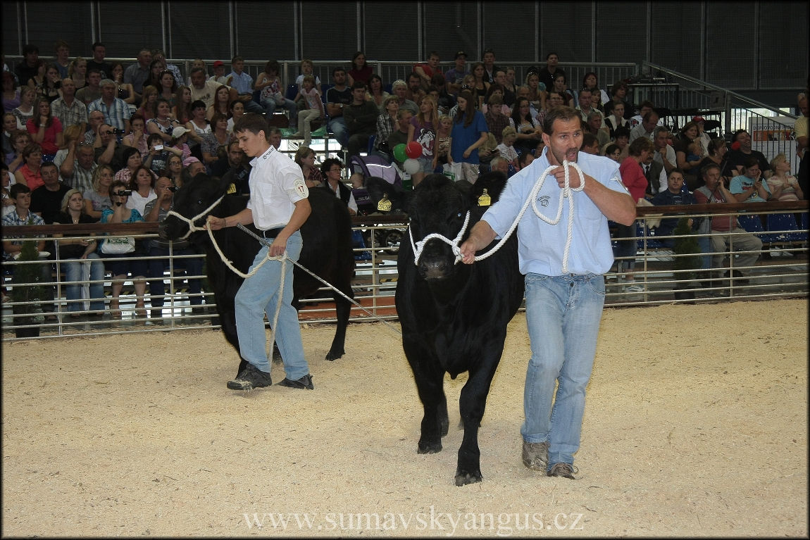 5 Národní výstava Brno 2011