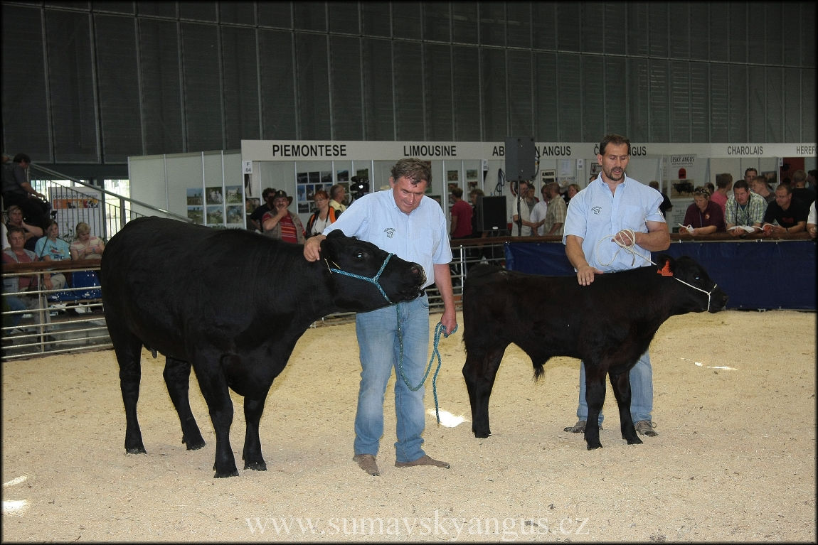 11 Národní výstava Brno 2011