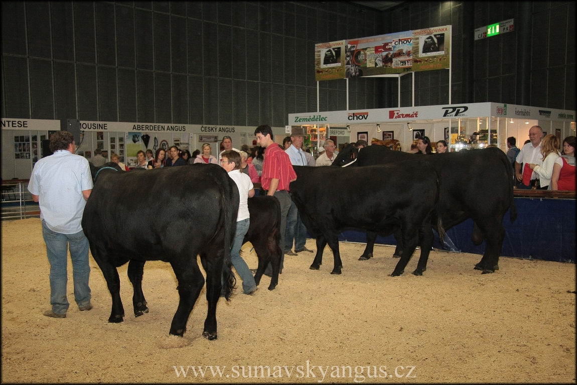 22 Národní výstava Brno 2011