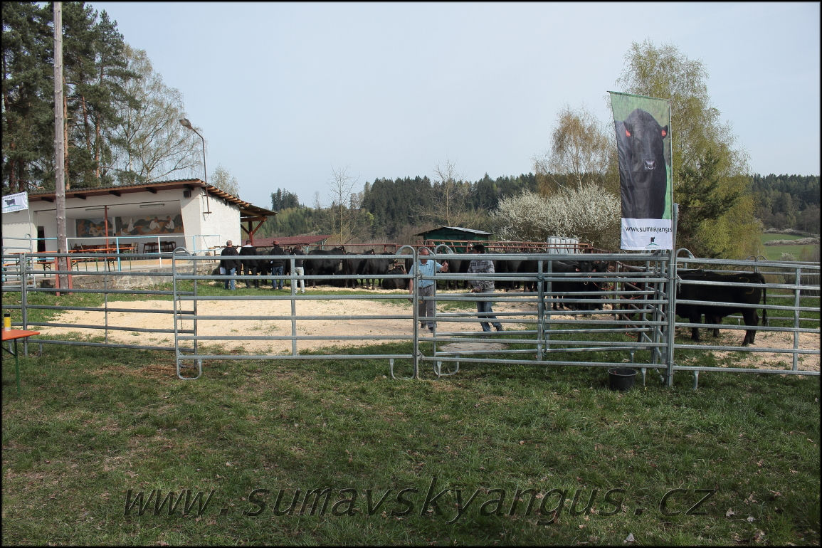 výběry PB Pavas 250415 2