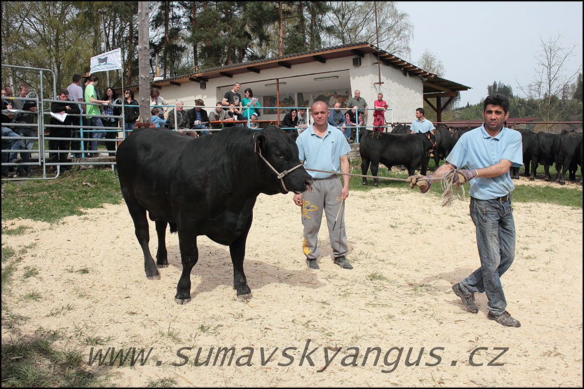 výběry PB Pavas 250415 10