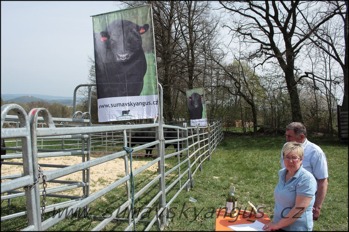 výběry PB Pavas 250415 13