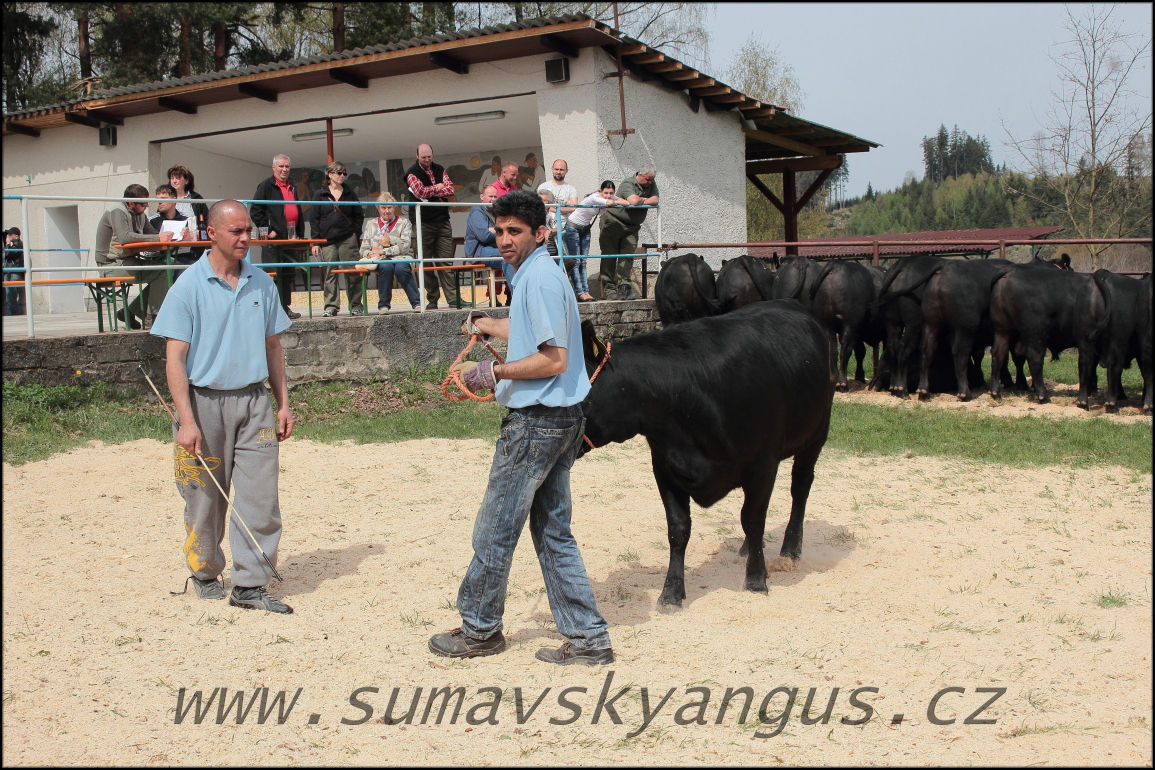 výběry PB Pavas 250415 24