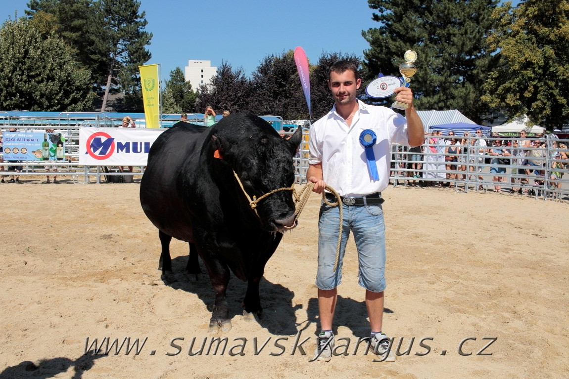 3. Jihočeská Angus Show - 26.srpna 2016 4