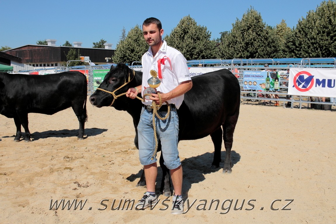 3. Jihočeská Angus Show - 26.srpna 2016 11