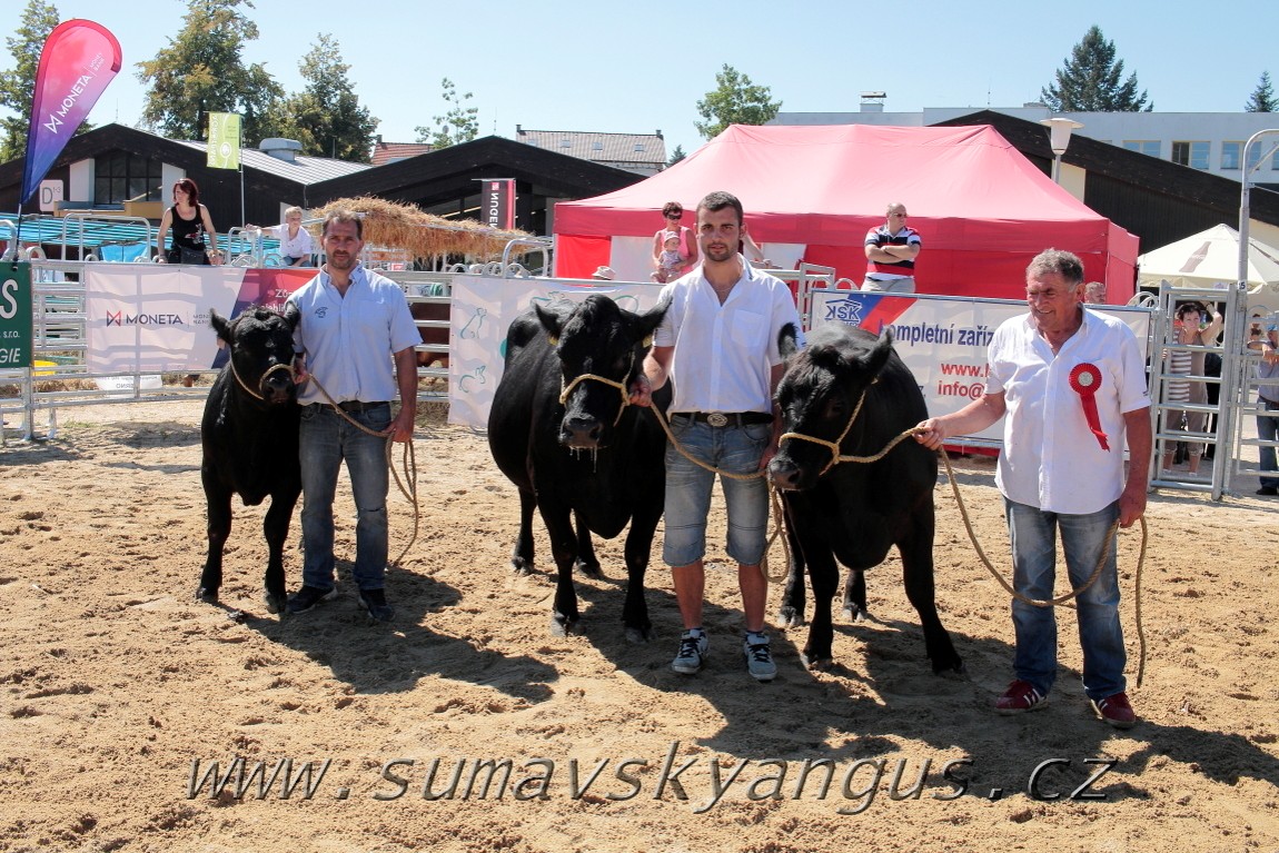 3. Jihočeská Angus Show - 26.srpna 2016 17